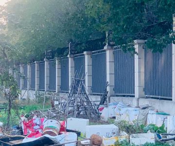 盘龙大道保合太和西院门前的一块土地被乱开荒种菜