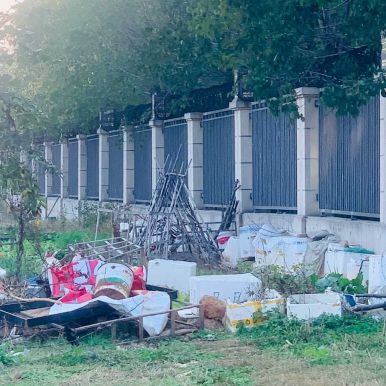 盘龙大道保合太和西院门前的一块土地被乱开荒种菜