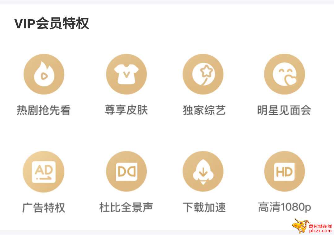 黄金特权.jpg