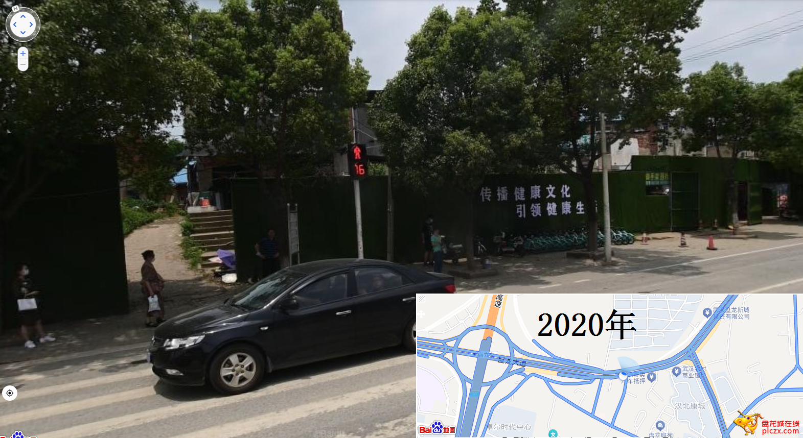 2020年小树变大树