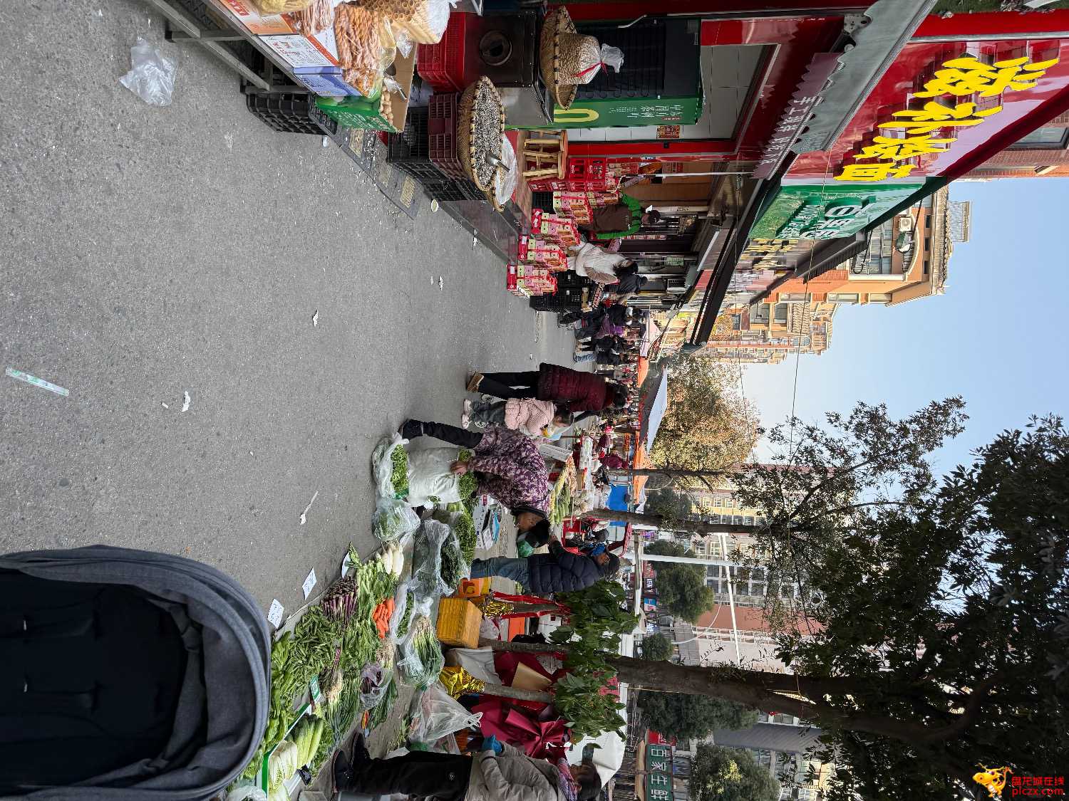 IMG_6533.jpeg
